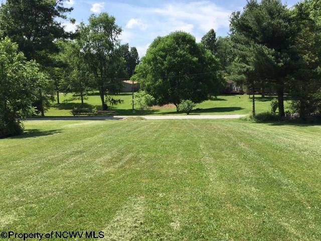 154 Long Alley Reedsville, WV 26547 - Photo 3 of 19 Gallery Image 3