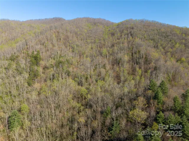 a view of a mountain in the distance in a field
