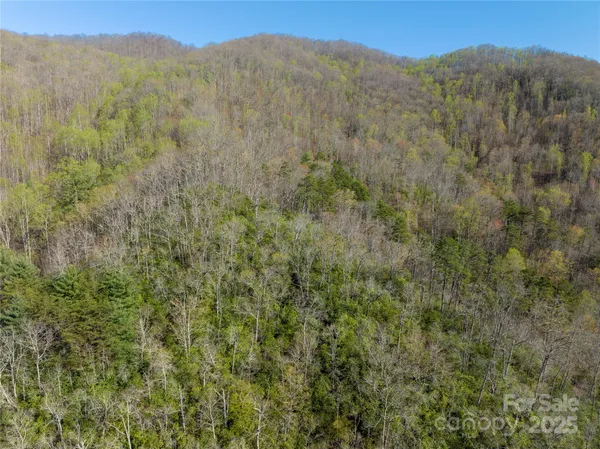 a view of a large mountain with trees in the background