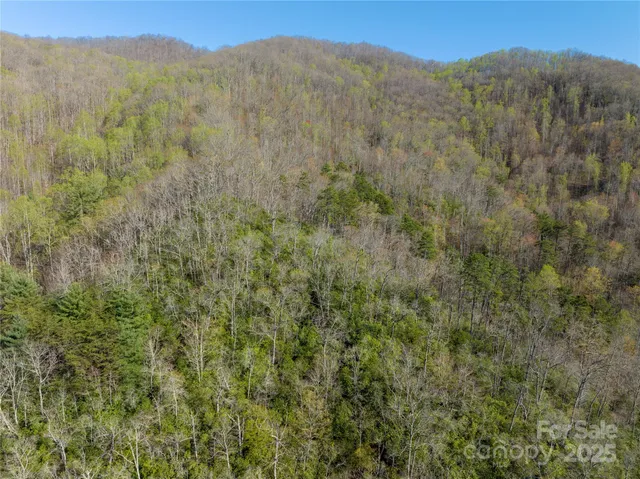 a view of a large mountain with trees in the background