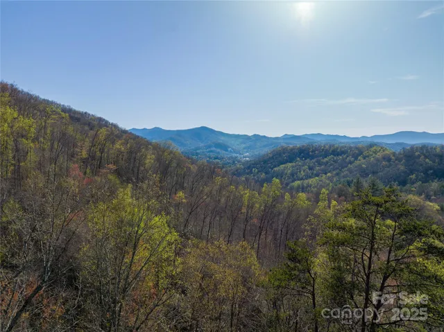 a view of a mountain range with trees