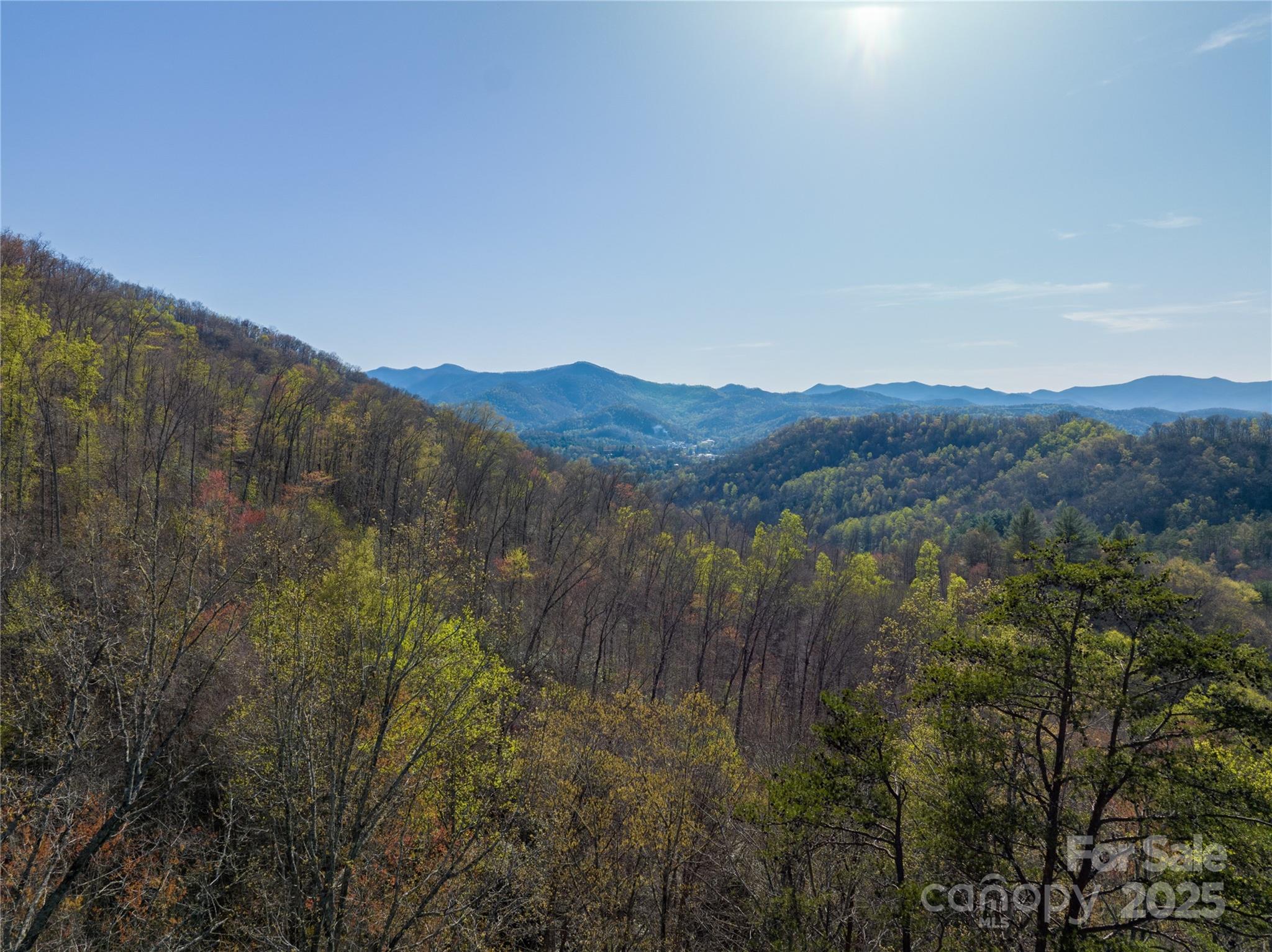 9999 Wayehutta Road Cullowhee, NC 28723 - Photo 13 of 18 a view of a mountain range with trees