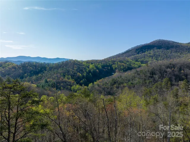 a view of a lake in middle of forest