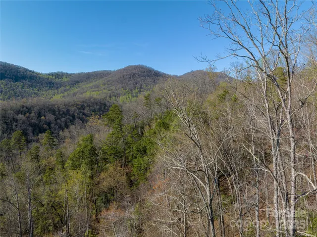 a view of a dry yard with mountains in the background