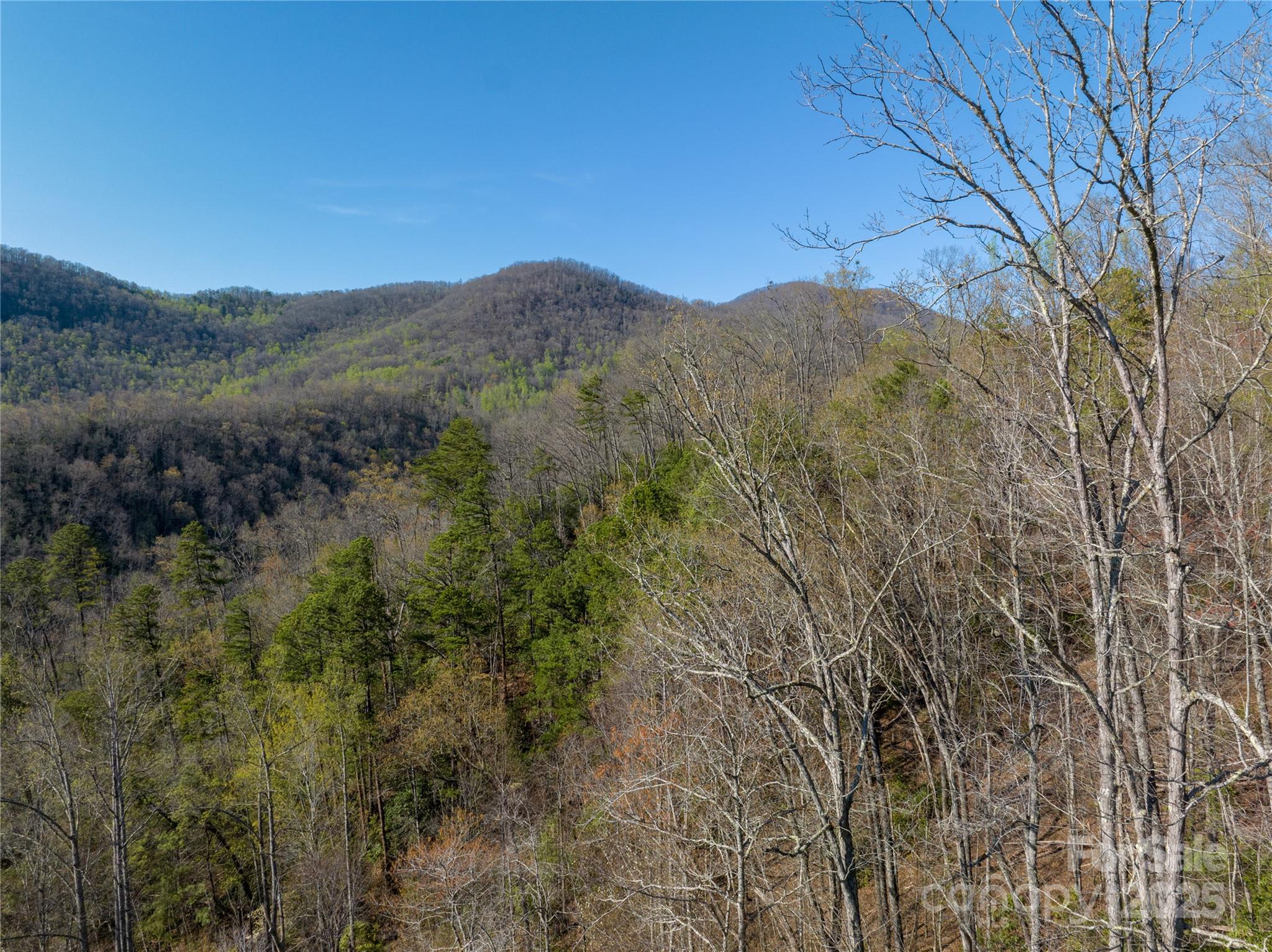 9999 Wayehutta Road Cullowhee, NC 28723 - Photo 15 of 18 a view of a dry yard with mountains in the background