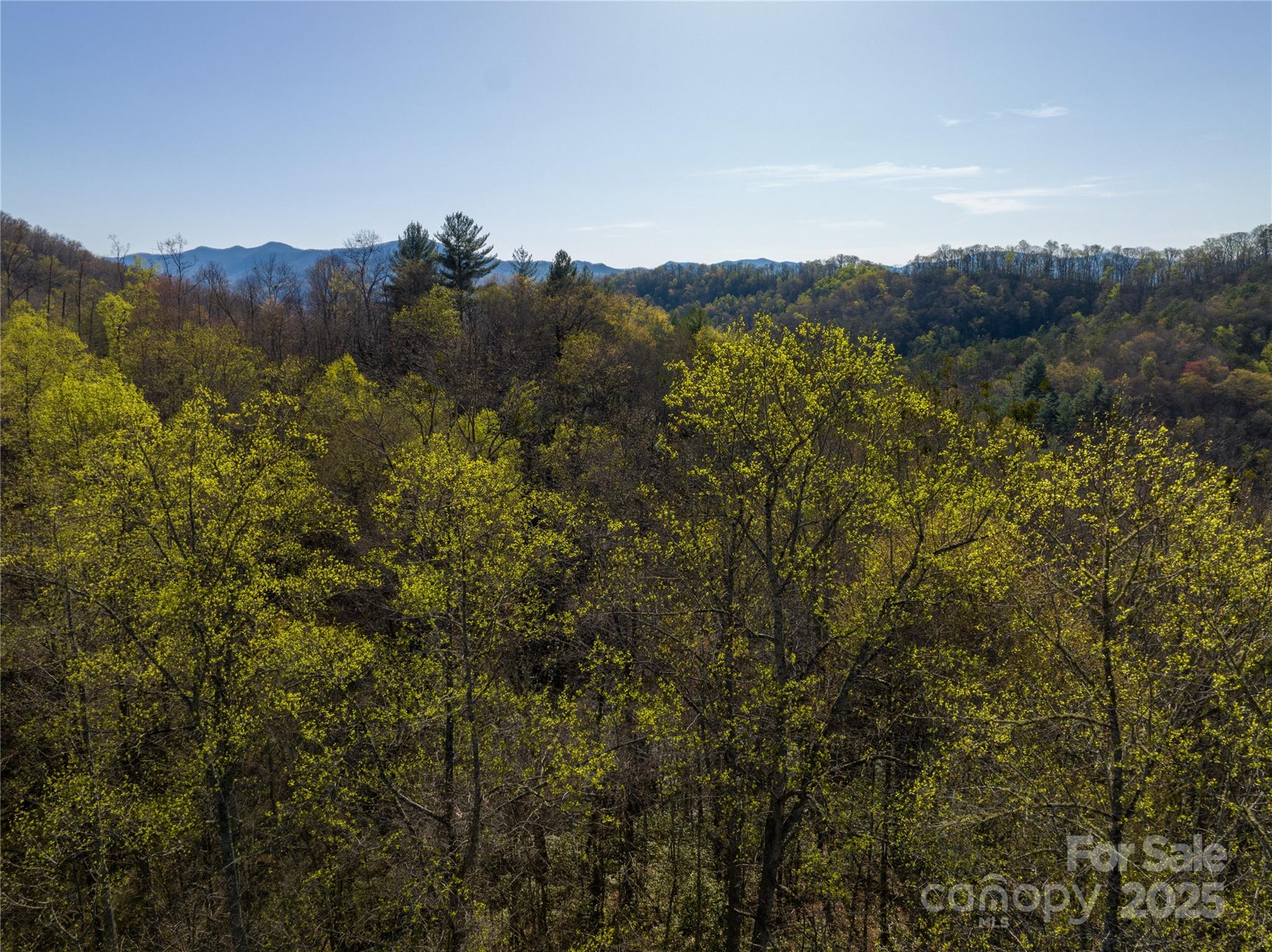 9999 Wayehutta Road Cullowhee, NC 28723 - Photo 6 of 18 a view of a lake with a mountain