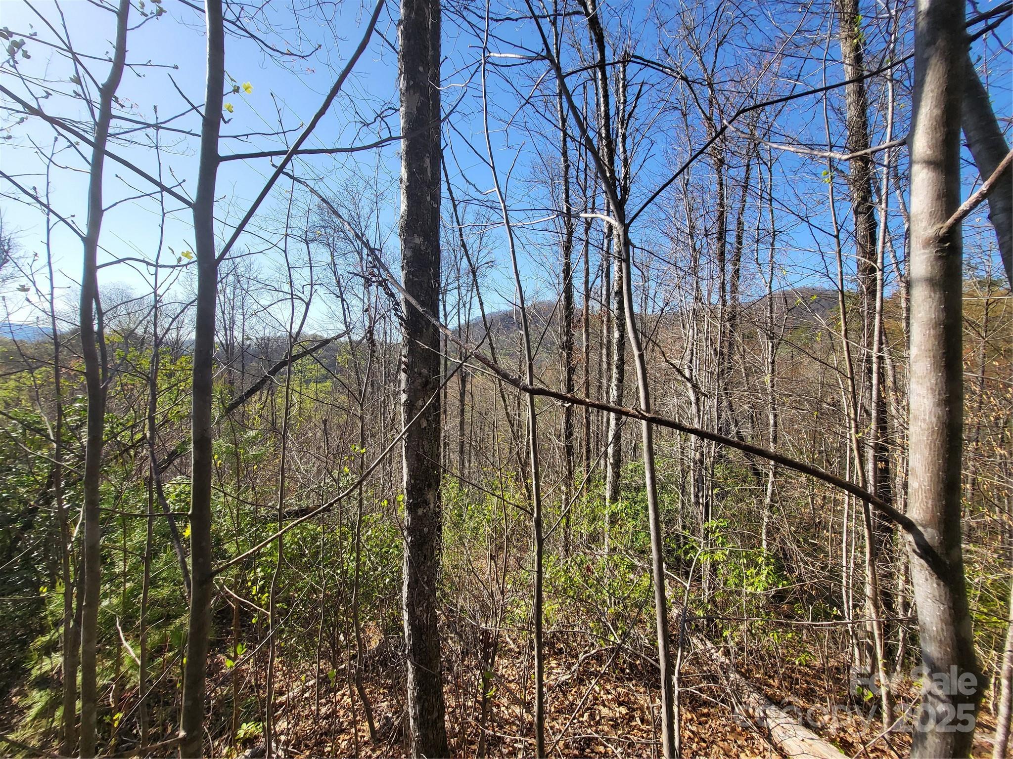 9999 Wayehutta Road Cullowhee, NC 28723 - Photo 7 of 18 a view of a yard