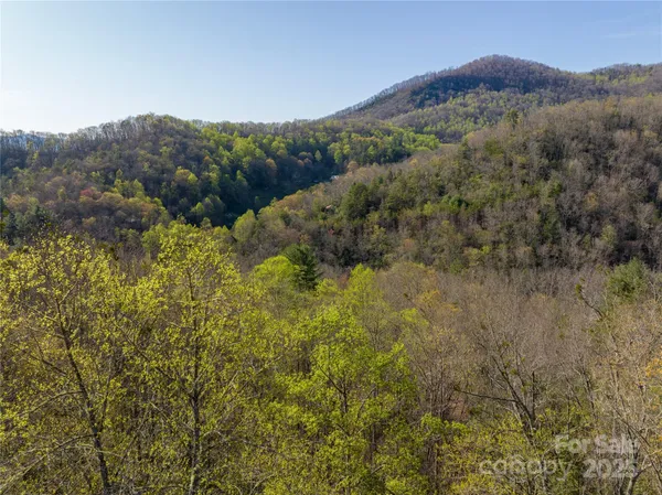 a view of a lush green forest with mountains in the background