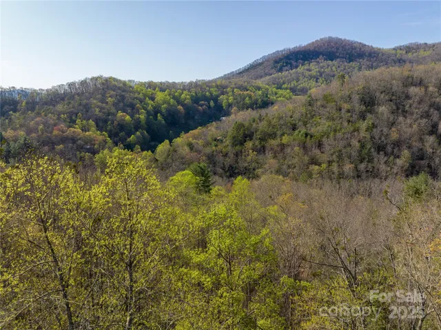 a view of a lush green forest with mountains in the background