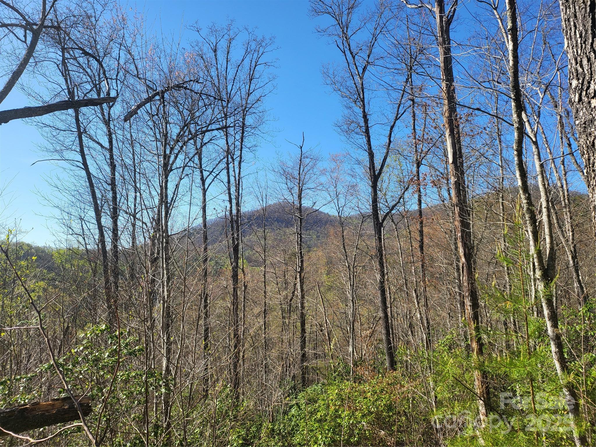9999 Wayehutta Road Cullowhee, NC 28723 - Photo 9 of 18 a backyard of a house with lots of green space