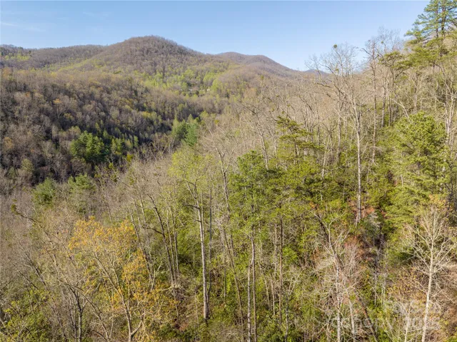 a view of a mountain