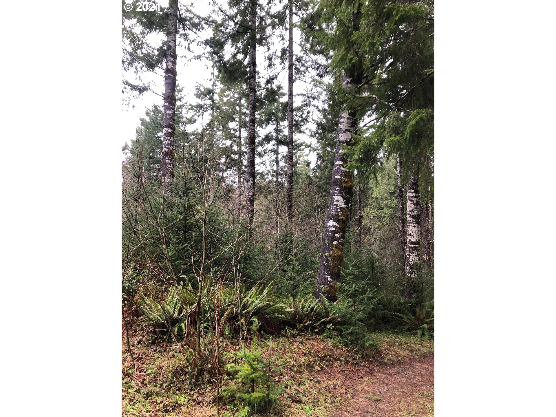 North Shingle Bolt Road Otis, OR 97368 - Photo 4 of 7 Gallery Image 4