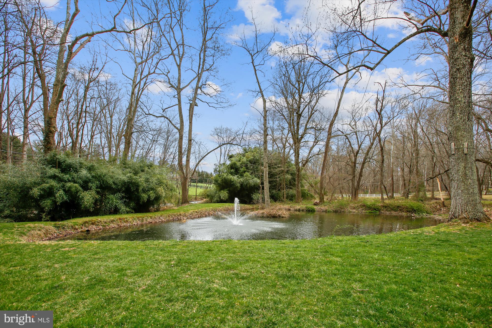 502 Walker Road Great Falls, VA 22066 - Photo 5 of 92 Pond with fountain