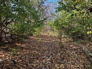 0 Songo Pittsburgh, PA 15227 - Photo 4 of 14 a view of a yard with a plant