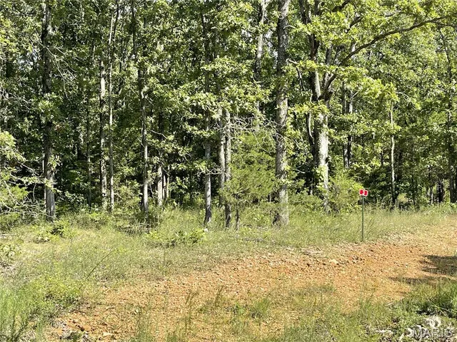 $23,900 | Tbd Tbd Forest View, Steelville, MO 65565