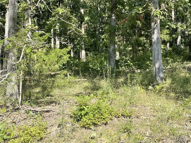 $23,900 | Tbd Tbd Forest View, Steelville, MO 65565