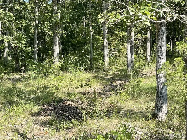 $23,900 | Tbd Tbd Forest View, Steelville, MO 65565