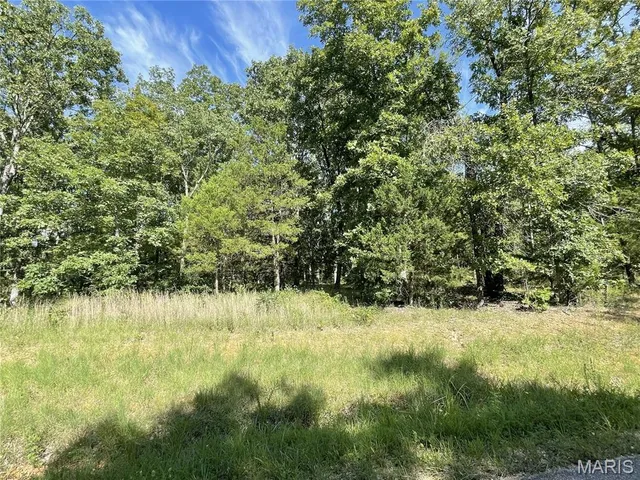 $23,900 | Tbd Tbd Forest View, Steelville, MO 65565