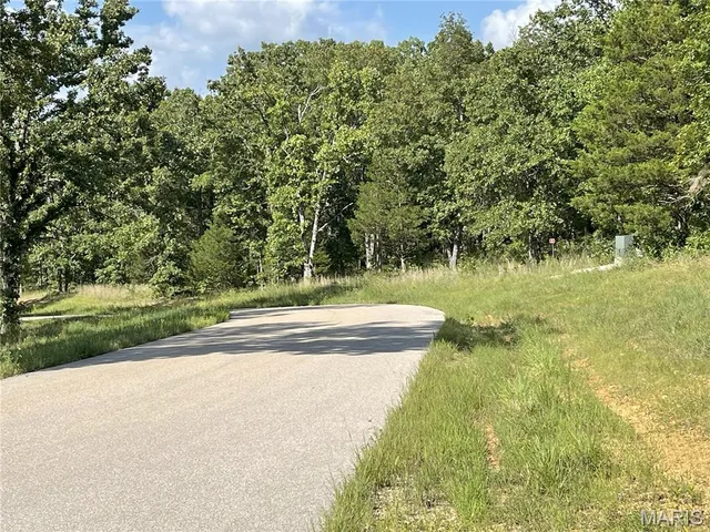 $23,900 | Tbd Tbd Forest View, Steelville, MO 65565