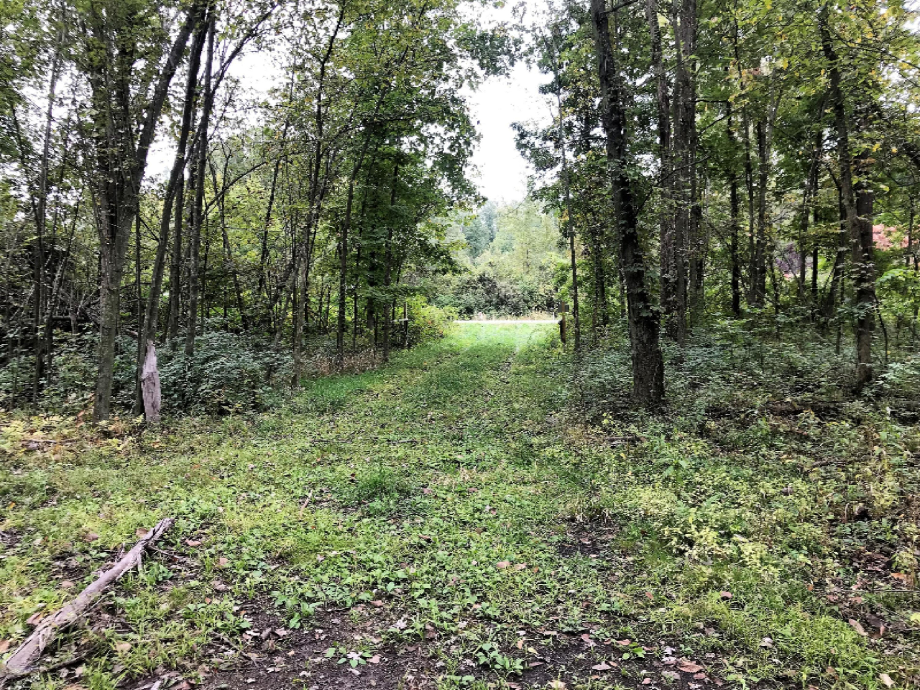 Ralston Road Sherwood, MI 49089 - Photo 1 of 11 IMG_6221