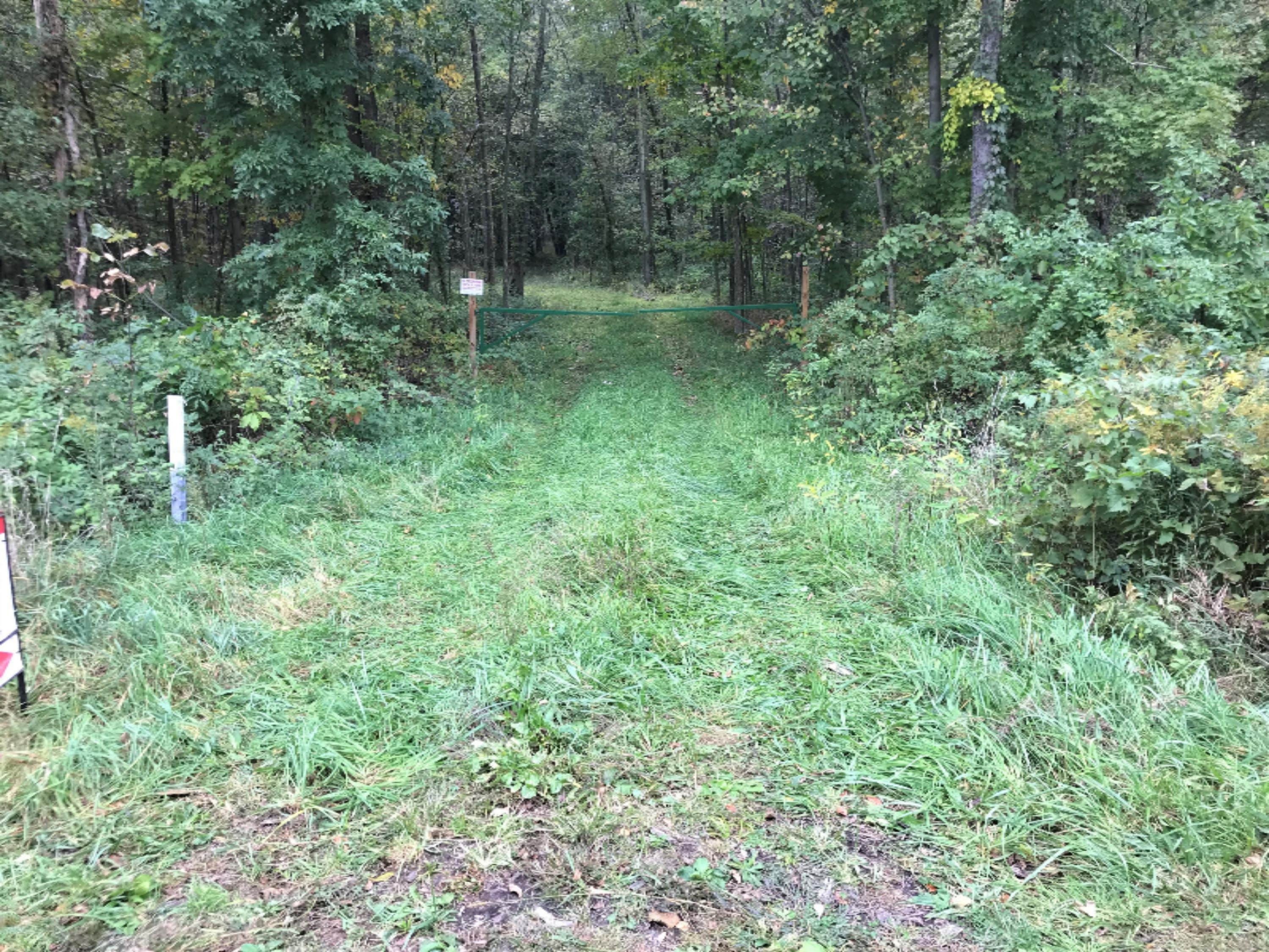 Ralston Road Sherwood, MI 49089 - Photo 2 of 11 IMG_6225