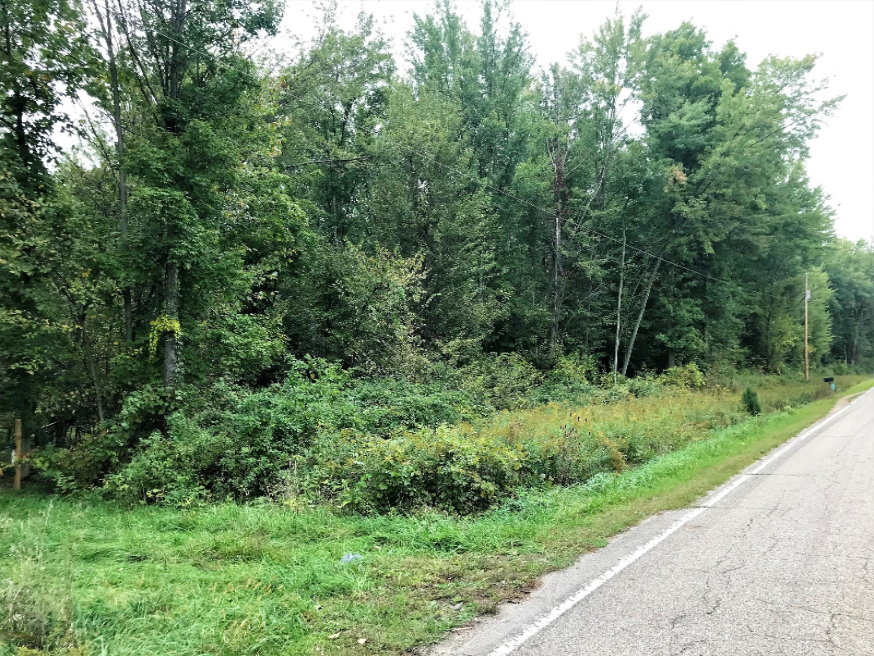 Ralston Road Sherwood, MI 49089 - Photo 5 of 11 IMG_6218