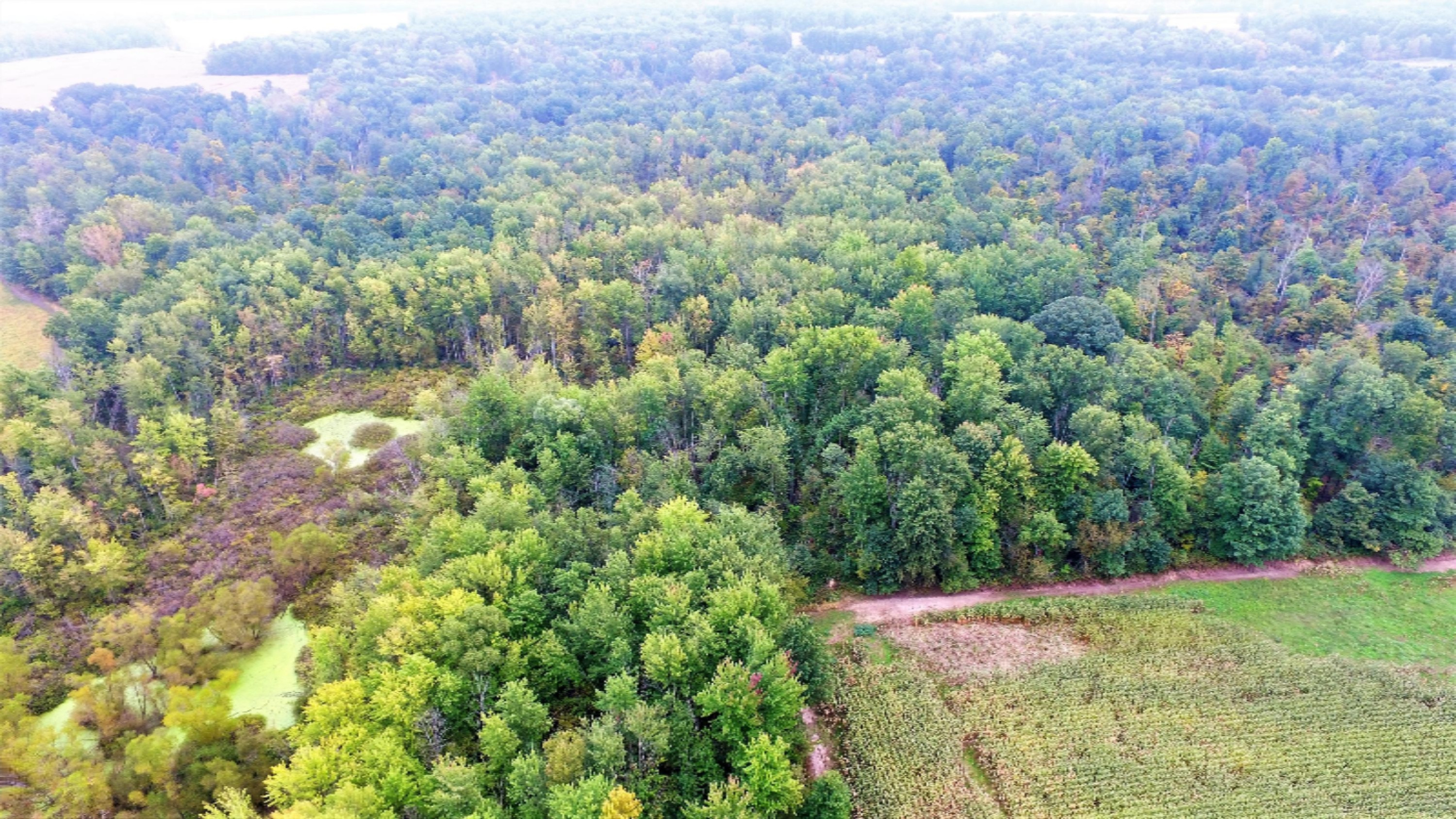 Ralston Road Sherwood, MI 49089 - Photo 10 of 11 3