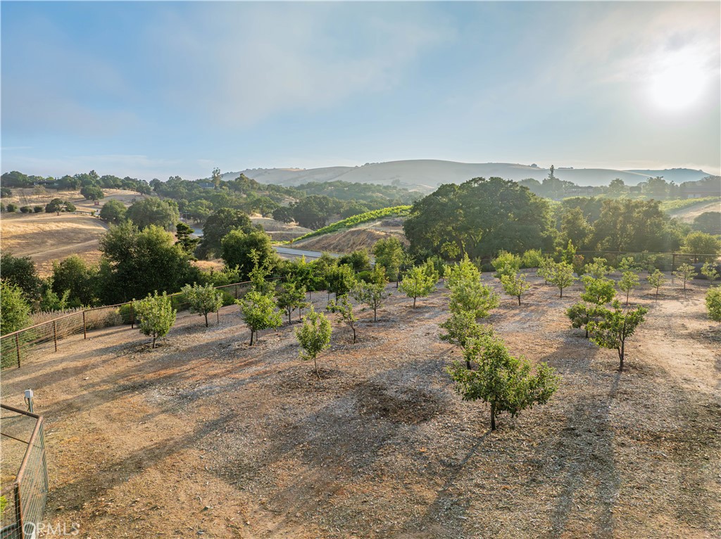 3030 Templeton Road Templeton, CA 93465 - Photo 68 of 75 On the grounds of the property, you'll discover a variety of mature heirloom fruit trees, including apples, pears, peaches, figs, cherries, citrus, and pomegranates.