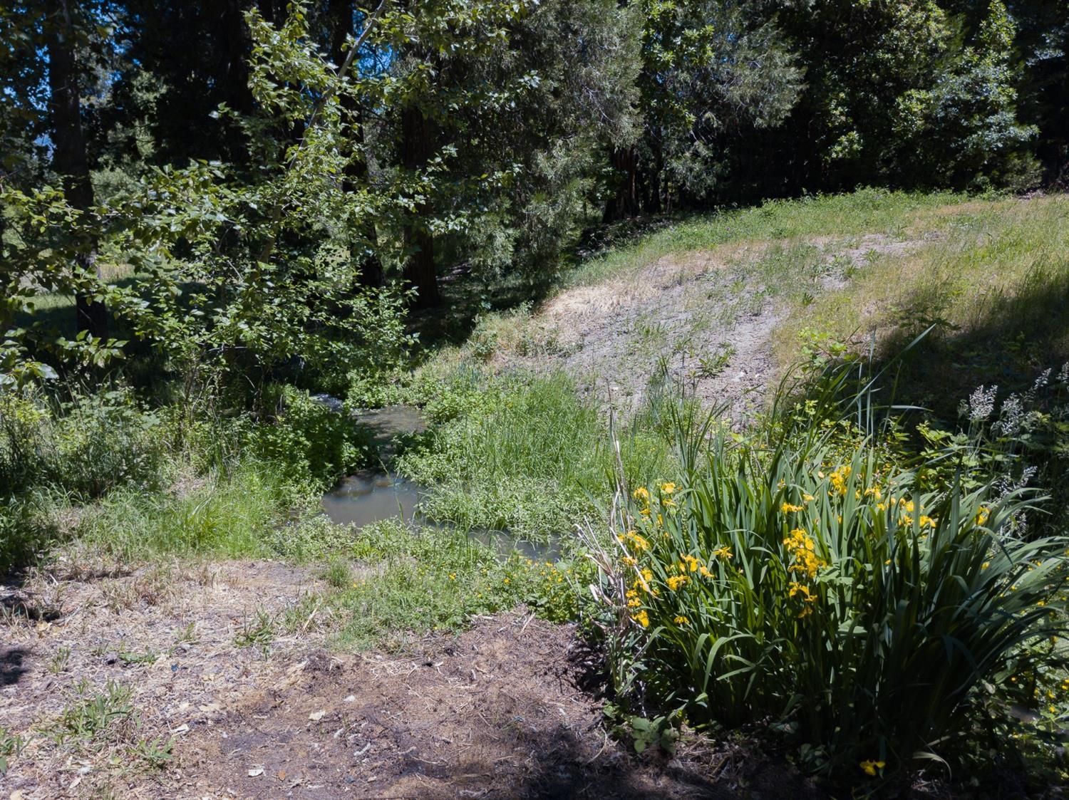 517 Morey Road Talent, OR 97540 - Photo 15 of 15 Additional Photo
