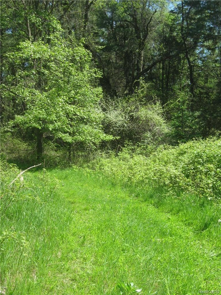 7251 Rattalee Lake Road Clarkston, MI 48348 - Photo 74 of 80 IMG_7043.JPG