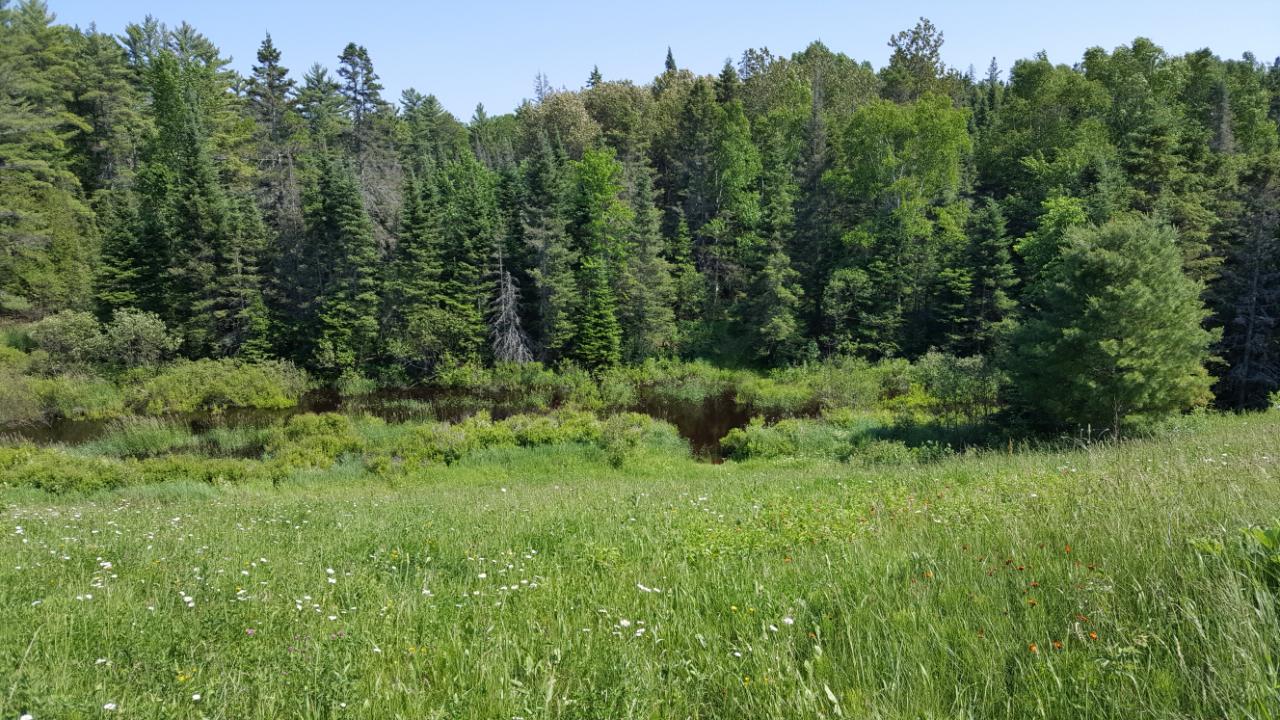 0 West 12 Mile Road Dafter, MI 49724 - Photo 5 of 15 Gallery Image 5