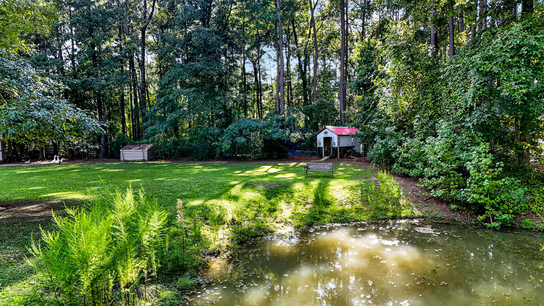 1355 Highway 15 St. George, SC 29477 - Photo 66 of 69 TB-136