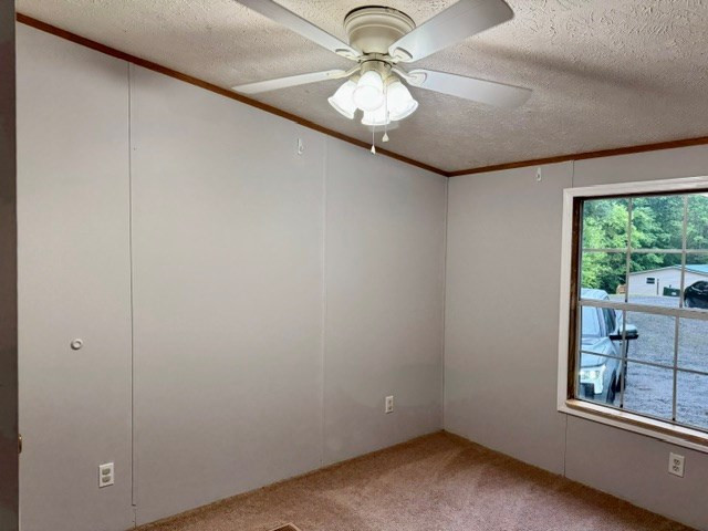 385 Vengeance Creek Road Marble, NC 28905 - Photo 13 of 19