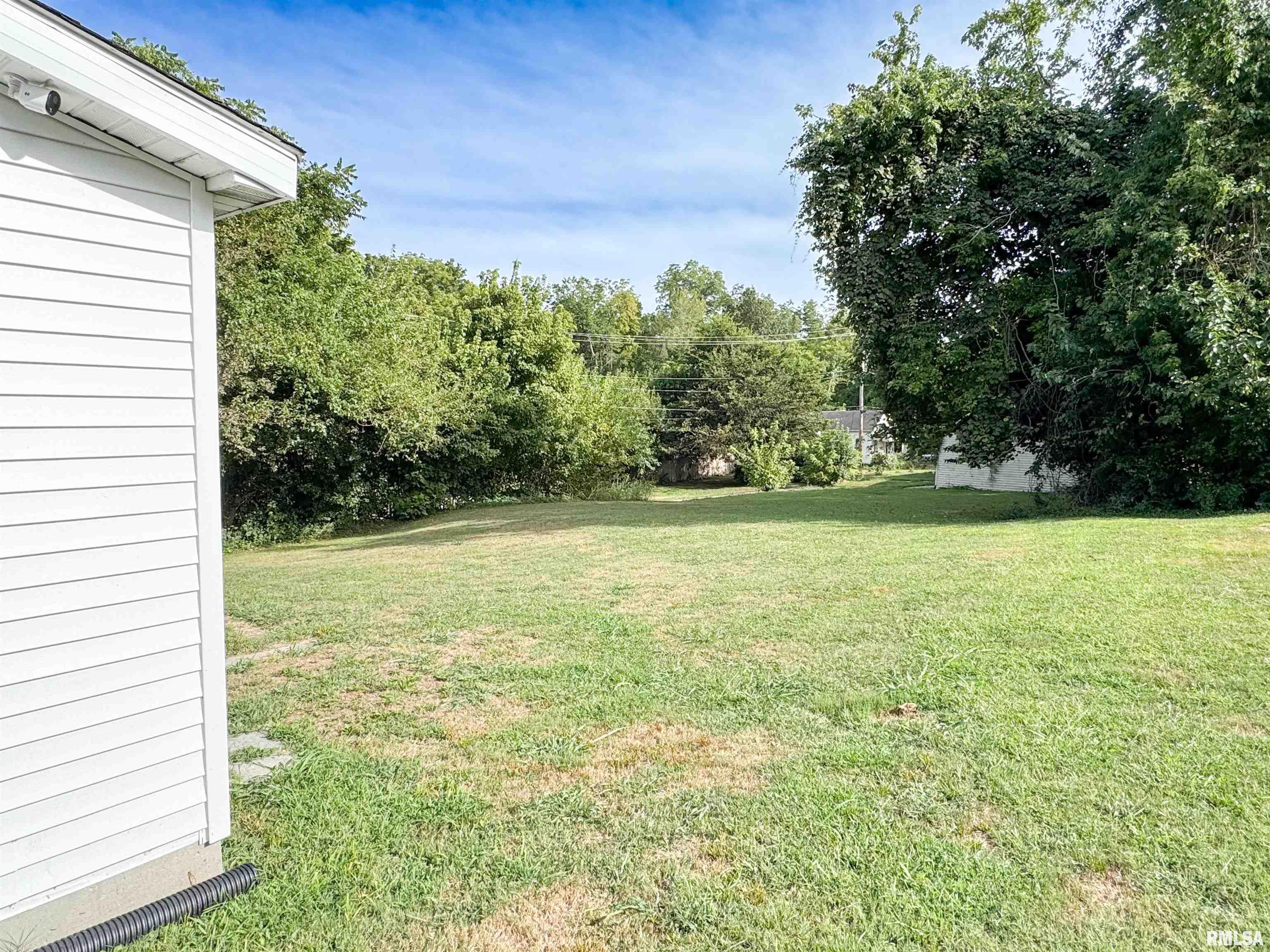 314 Douglas Street Anna, IL 62906 - Photo 5 of 24