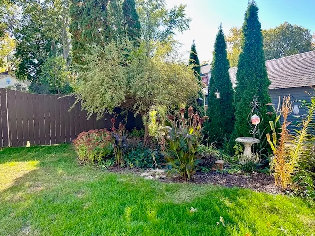 a view of a backyard with plants and large trees