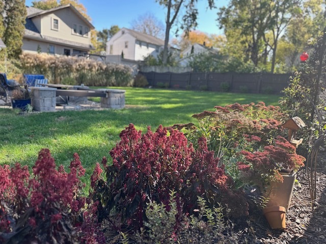 316 East 3rd Street Dixon, IL 61021 - Photo 44 of 45 a view of a garden with a building in the background