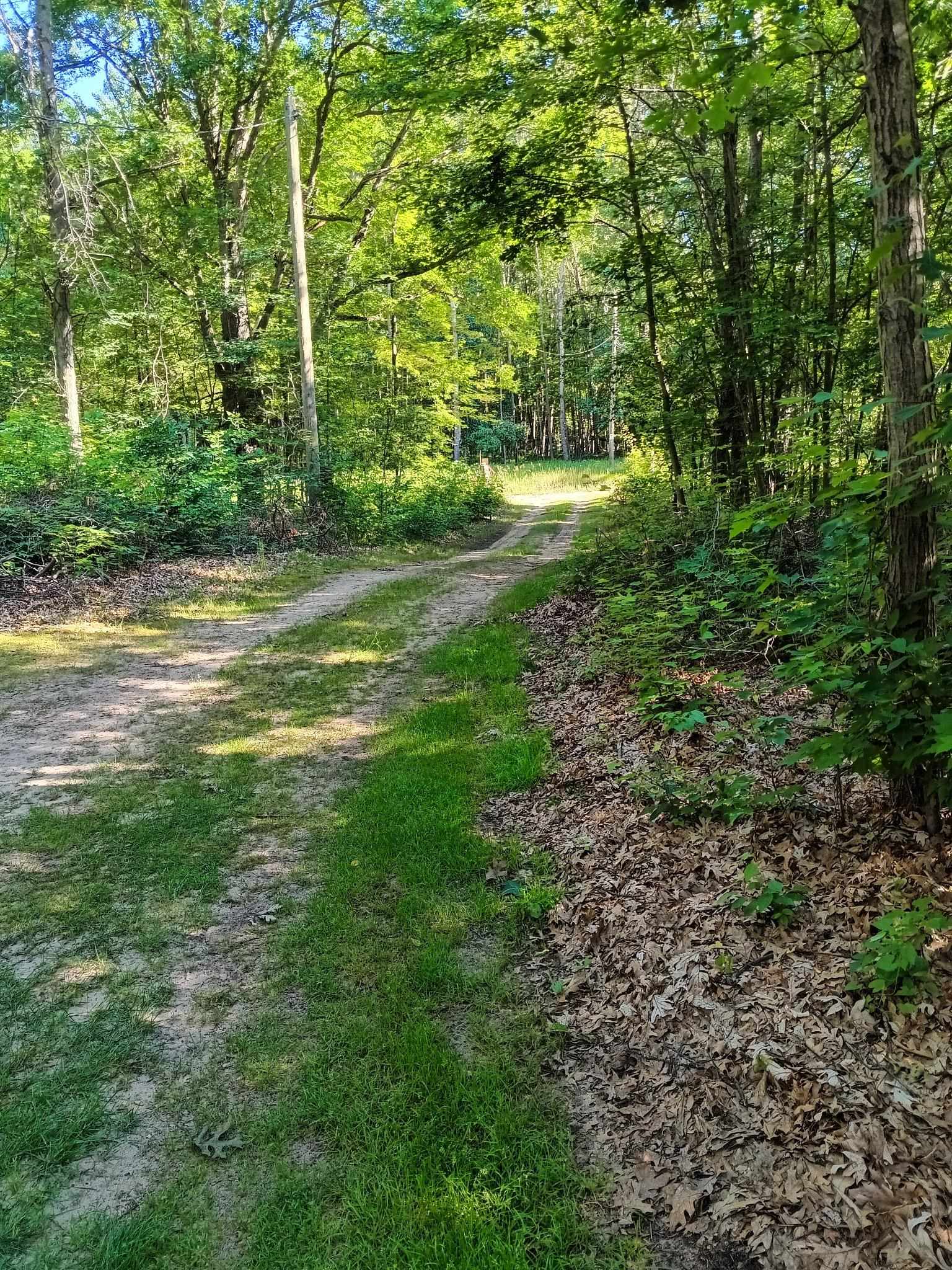 7907 West Weidman Road Weidman, MI 48893 - Photo 3 of 12 1941614-b4e8930c-5342-448a-b8cf-5ac8433f272a.JPG