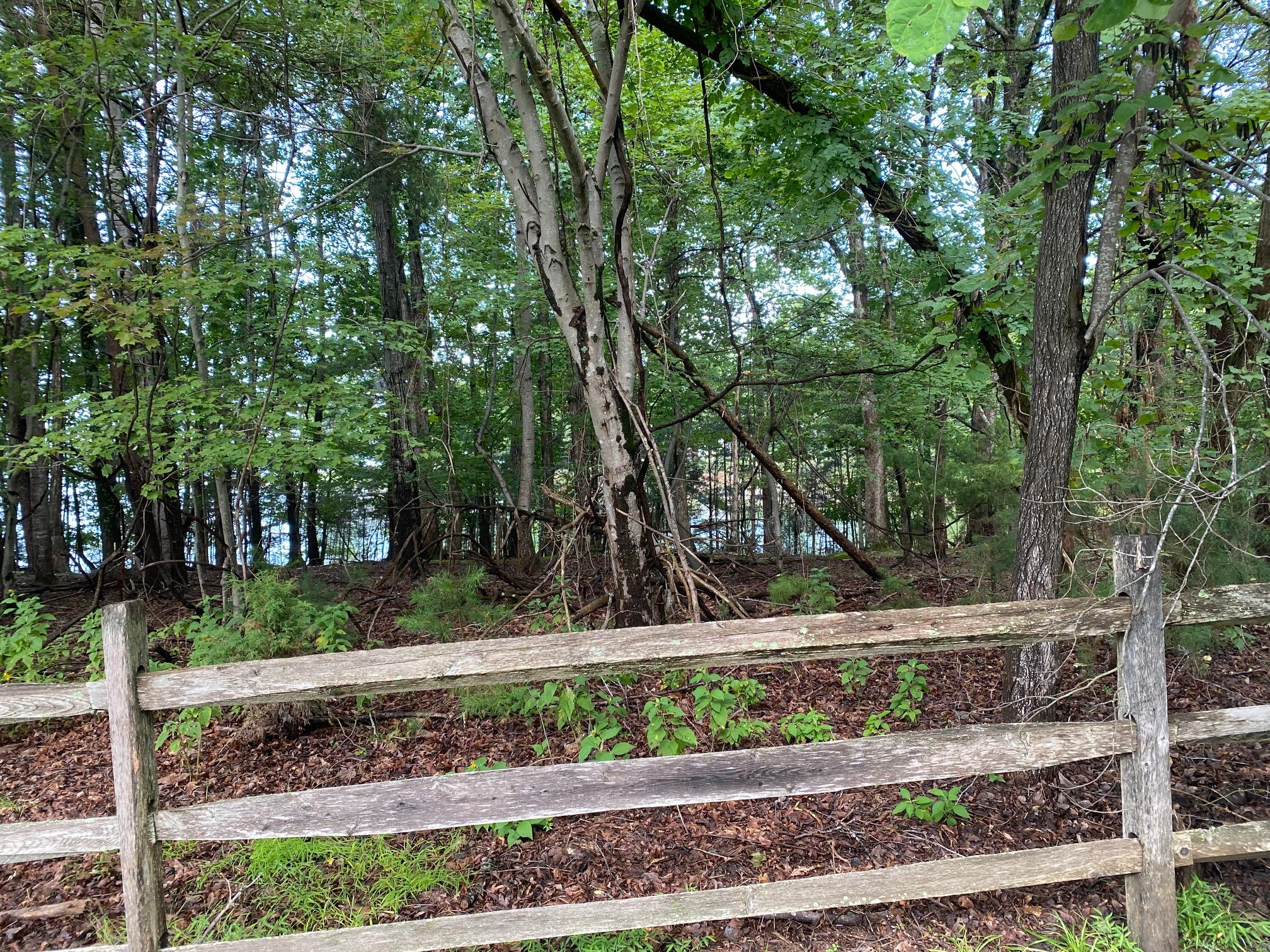 Lot 5 Scruggs Road Moneta, VA 24121 - Photo 4 of 6 Lot 5