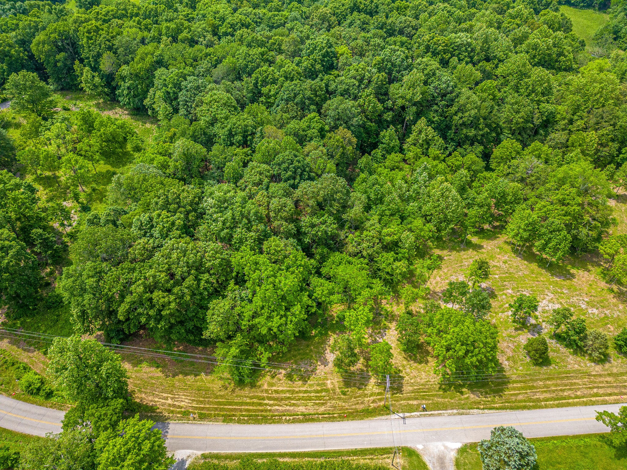 a view of yard with green space
