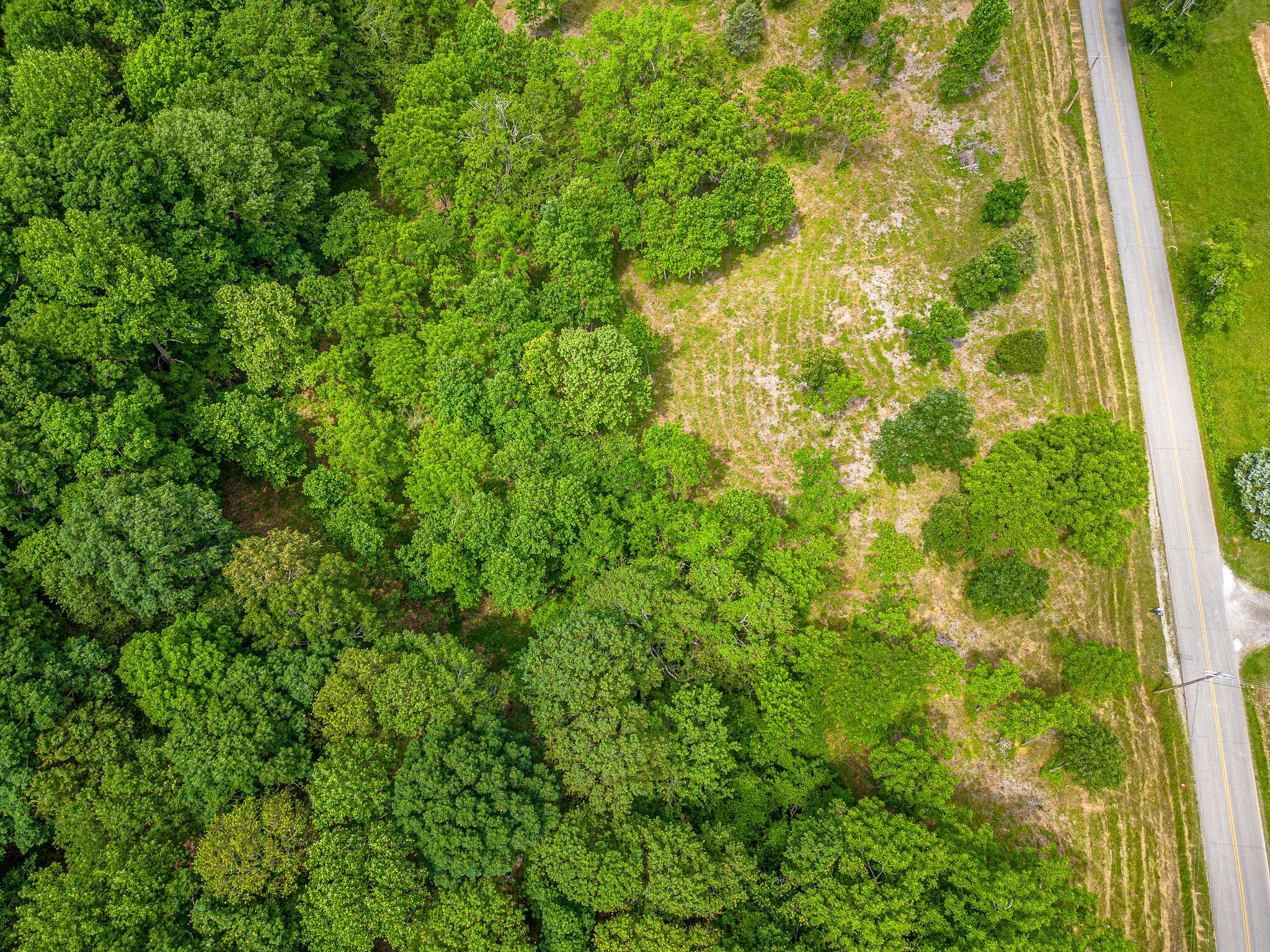 0 Promise Land Road Charlotte, TN 37036 - Photo 2 of 8 Gallery Image 2