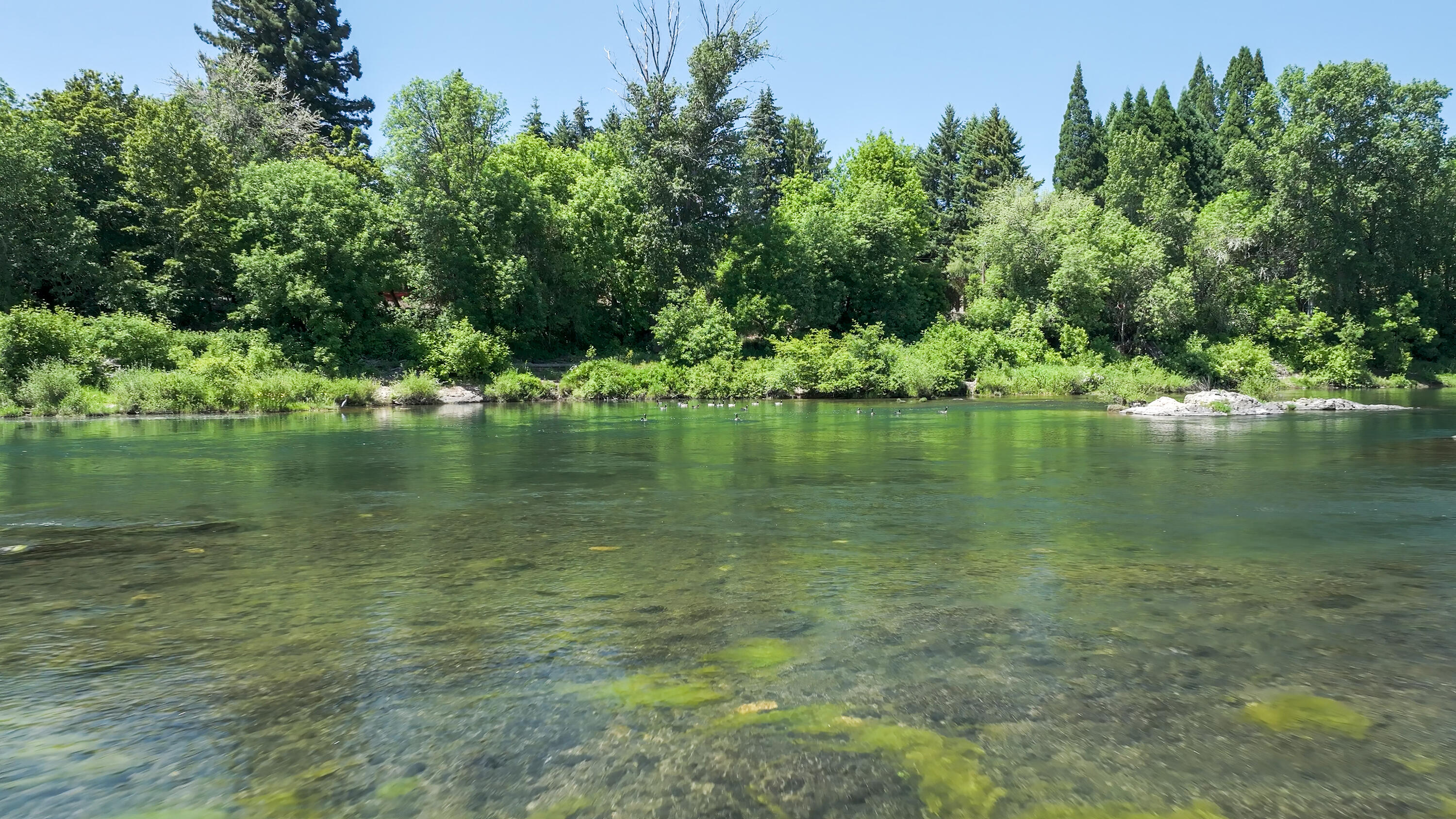 2546 Fisher Road Roseburg, OR 97471 - Photo 58 of 59 a view of a lake with houses in the back