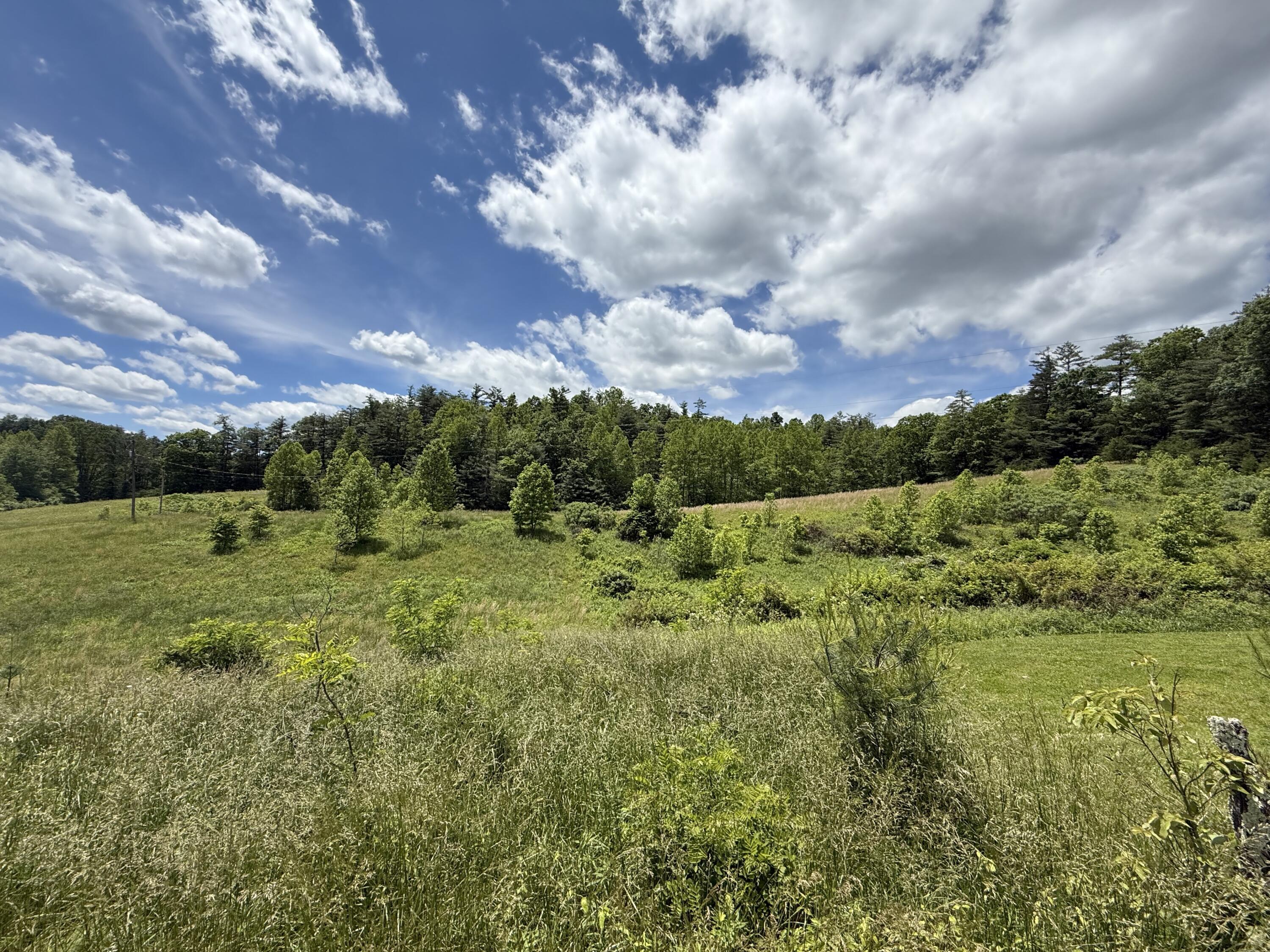 342 Dewey Banks Road Campton, KY 41301 - Photo 8 of 64 008 the view from the front porch lookin