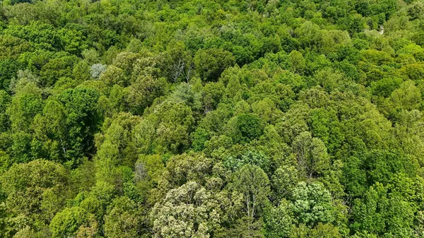 $49,900 | 0 Nelmonte Lane, Arrington, VA 22922