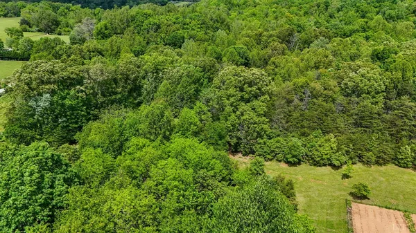 $49,900 | 0 Nelmonte Lane, Arrington, VA 22922