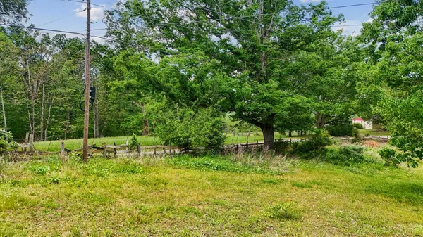 a fire hydrant in the middle of a field