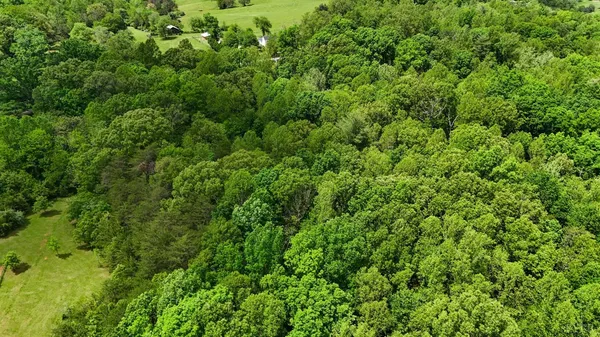 $49,900 | 0 Nelmonte Lane, Arrington, VA 22922