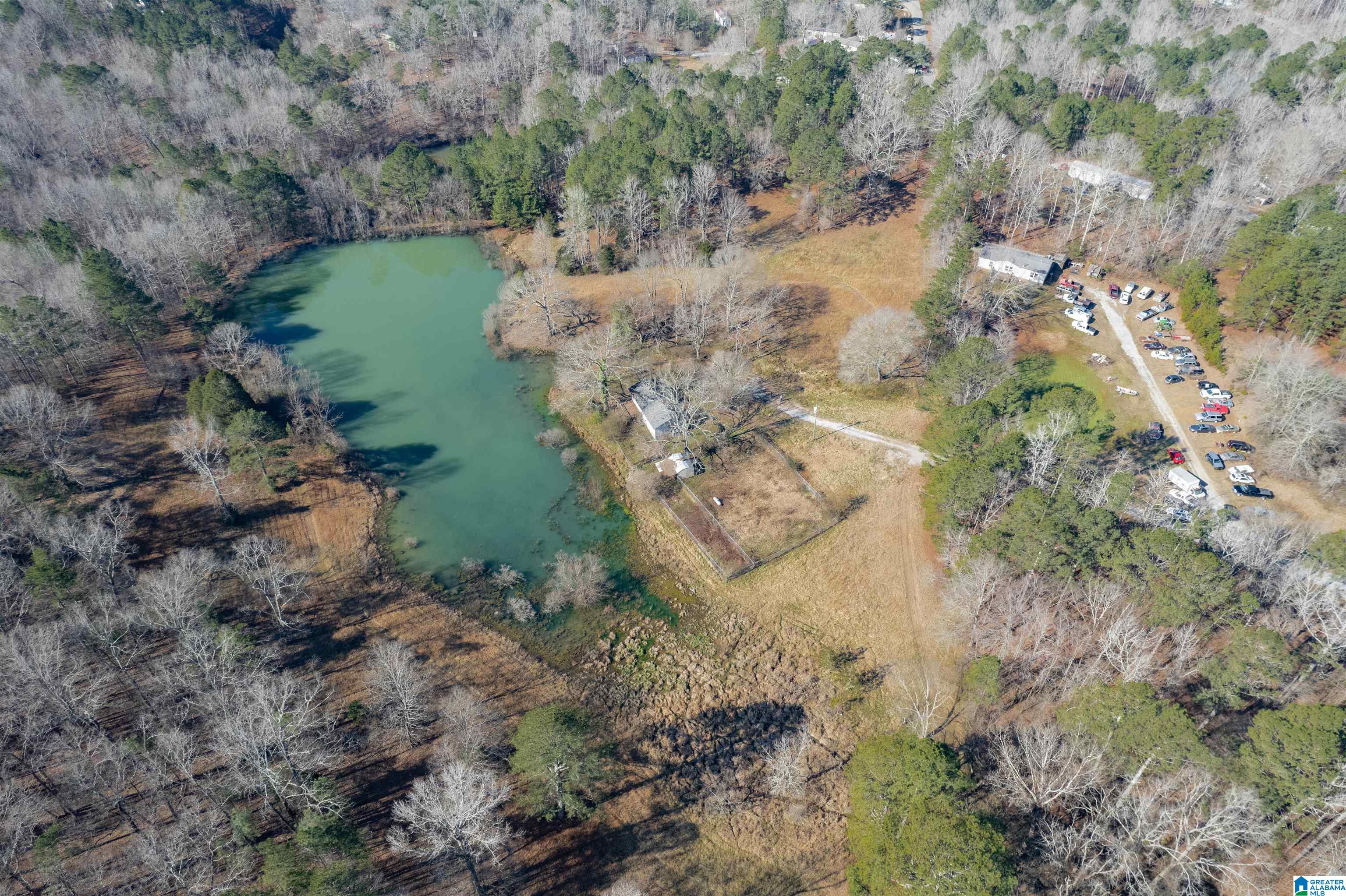 195 Wyatt Lake Road Odenville, AL 35120 - Photo 3 of 16