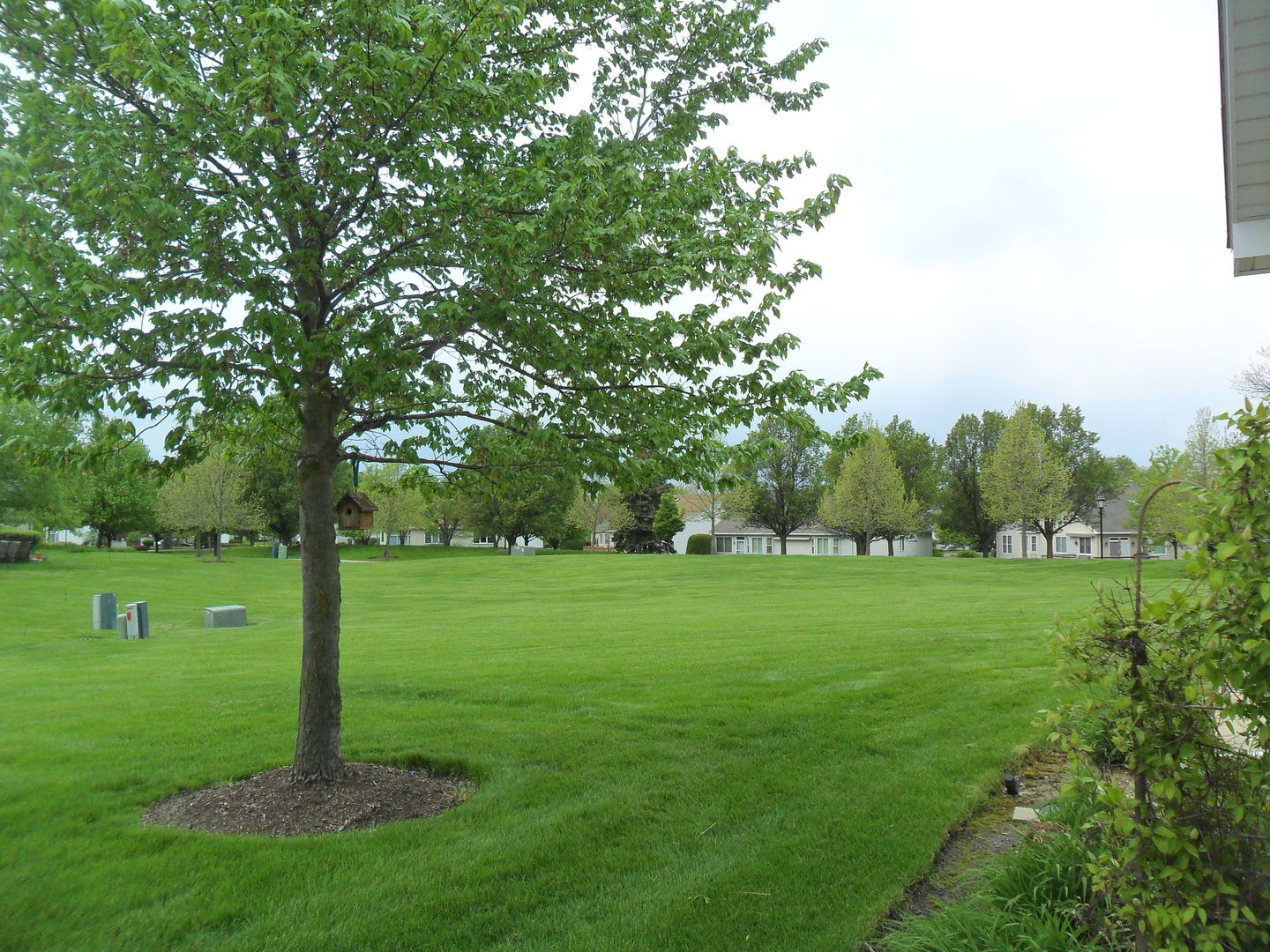 678 Cadillac Circle Romeoville, IL 60446 - Photo 17 of 19 a view of a grassy field with trees