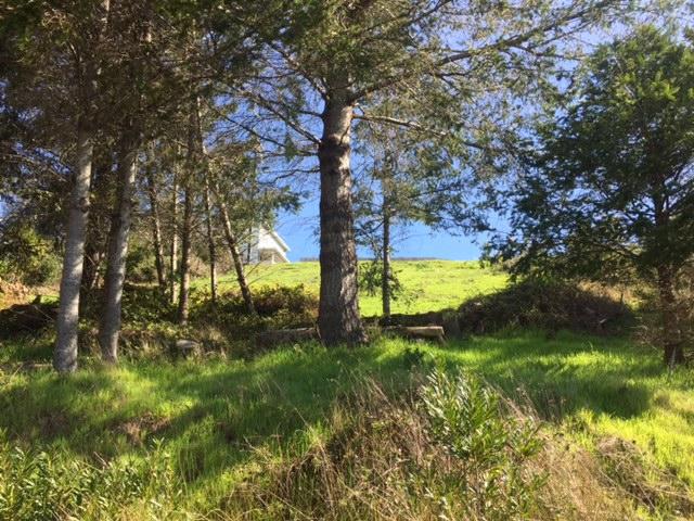 64 Shaker Road Shelter Cove, CA 95589 - Photo 3 of 3 shaker pic 1