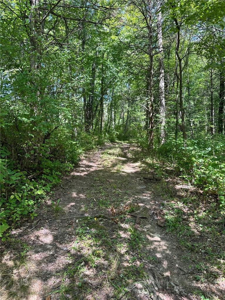 East Fallkill Road Hyde Park, NY 12538 - Photo 7 of 7